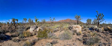 Mojave National Preserve - Jeffrey Favero Fine Art Photography