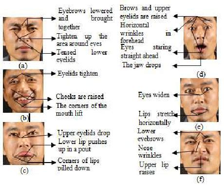 Changes of Facial Features During Expressions | Download Scientific Diagram