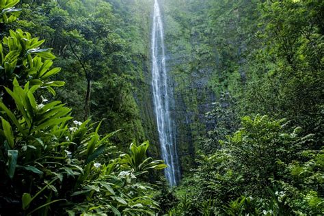 Maui Hikes With Spectacular Views For All Levels Of Hiking