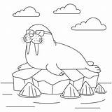 Premium Vector  Seal wear sunglasses Lying On The Ice coloring Page sketch template