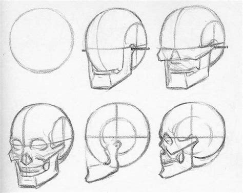 Facial structure | Skull drawing, Drawing the human head, Drawing for ...