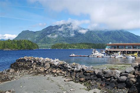 Tofino – Vancouver Island News, Events, Travel, Accommodation, Adventure, Vacations