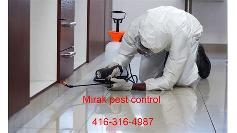 Pest control near me - local exterminator - Pest control Milton