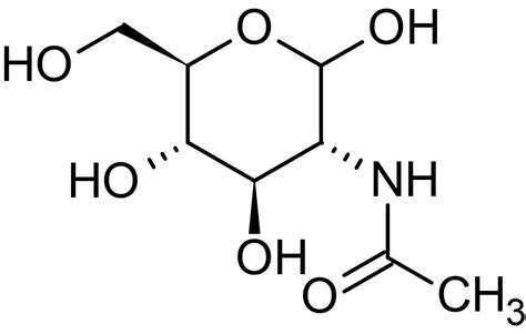 [最も人気のある！] acetyl peroxide structure 289038-Acetyl peroxide structure - Gambarturahulj