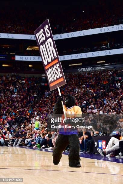 380 Phoenix Suns Gorilla Mascot Stock Photos, High-Res Pictures, and Images - Getty Images