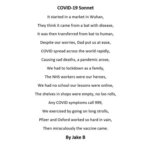 Sonnet Examples