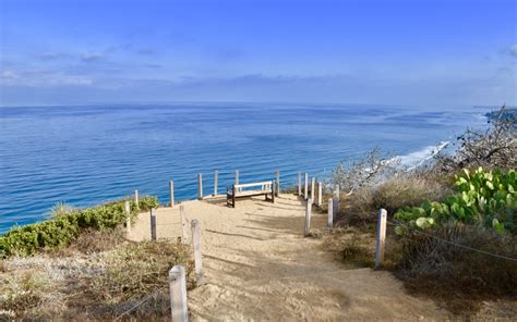 Hiking Torrey Pines Reserve: Tranquil Trails and Pacific Panoramas