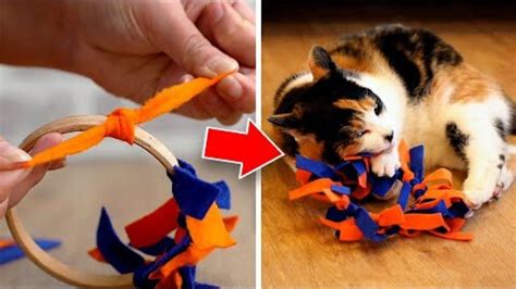 Easy To Make DIY Cat Toys Your Pet Will Love! | Diy cat toys, Homemade ...