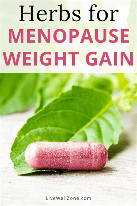 10 Powerful Herbs for Menopause Weight Gain | Supplements for 2023