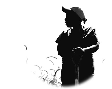 Silhouette Farmer Agriculture - farmer png download - 1200*960 - Free Transparent Silhouette png ...