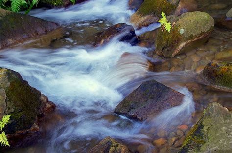 HD wallpaper: body of water, Japan, Natural, River, spring water, water sources | Wallpaper Flare