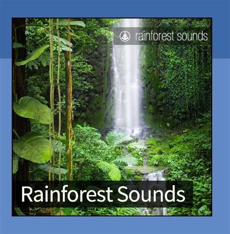 Rainforest Sounds: Amazon.co.uk: Music