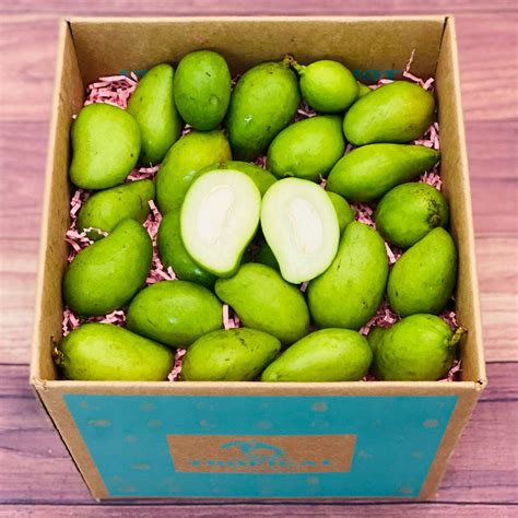 Baby Green Mangos - Tropical Fruit Box