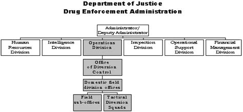 Delta Organizational Chart