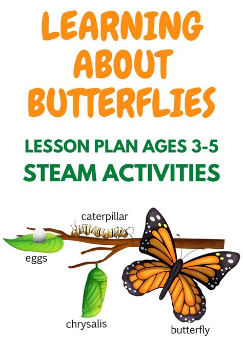 Learning About Butterflies (ages 3-6) STEAM Activities | Videos | Printable