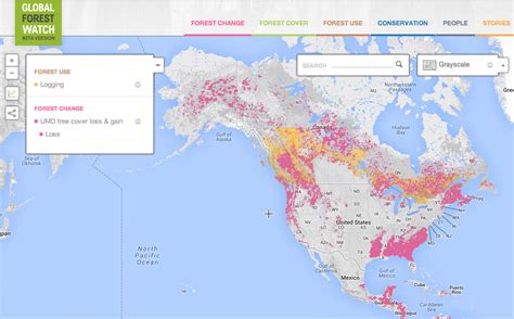 Nimbus Eco | View an interactive deforestation map