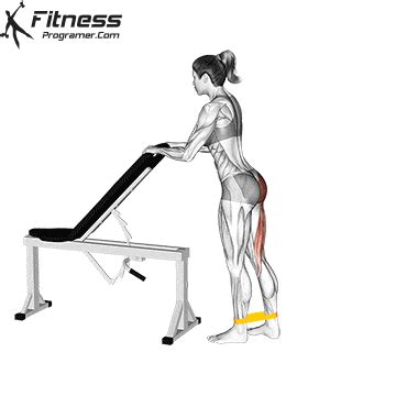 Banded Standing Glute Kickback » Workout Planner