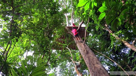 Yunke Zipline Adventure - Zip Line Tour in El Yunque Rainforest ...