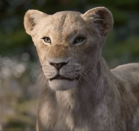 Hear Beyoncé's Nala for the First Time in New Trailer for Live-Action 'The Lion King' – D Is For ...