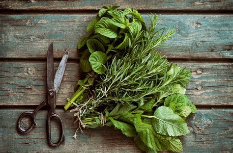 Best Guide to Fresh Herbs - Flavors and Pairings