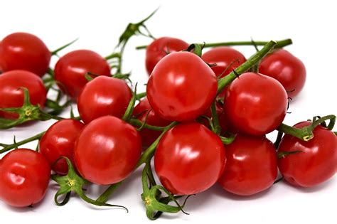 The 10 Best Cherry Tomato Varieties for Container Gardens - Garden and ...