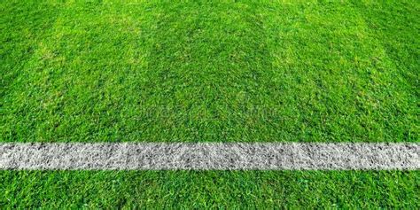 Soccer Line in Green Grass of Soccer Field. Green Lawn Field Pattern for Sport Background Stock ...