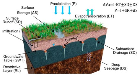 Main Root Causes Of Poor Soil Drainage & What Causes Them - Gardeninguru