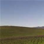 Windows XP 'Bliss' Wallpaper photo location in Sonoma, CA (Google Maps)