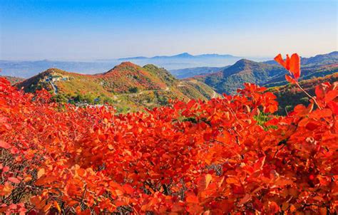 北京【海淀】香山公园春暖花开-北京旅游攻略-游记-去哪儿攻略