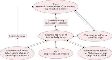 Body Dysmorphic Disorder An Overview ScienceDirect Topics, 52% OFF