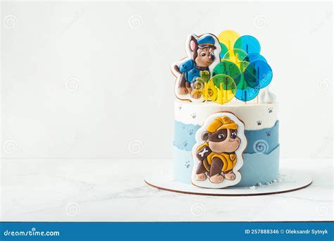 White and Blue Birthday Cake for a Little Fan of Paw Patrol Animated ...