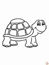 Tortoise Coloring Pages  Printable And Free sketch template