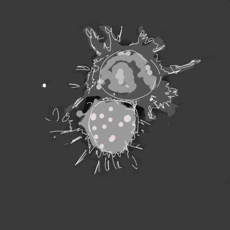 Myelin Sheath - Stem cell division