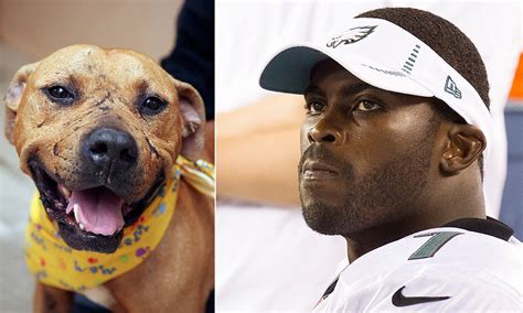 Michael Vick's dog-fighting pit bull Lucas 'who always had a smile ...