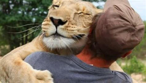 Amazing moment a lioness hugs a man who saved her life - Emirates 24|7