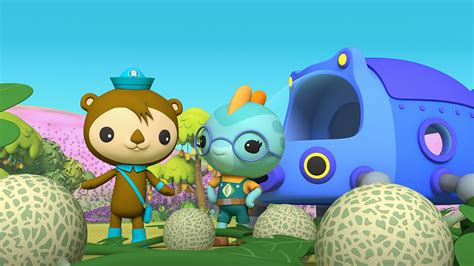 Octonauts: Above & Beyond - Series 3: 5. Twelve-Year Bloom - BBC iPlayer