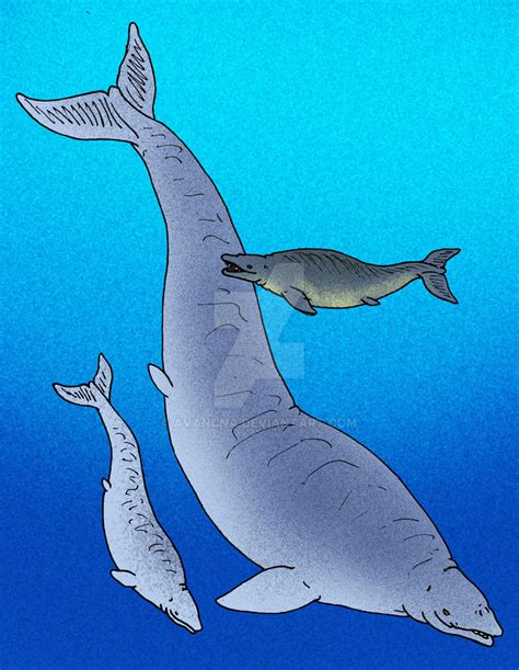 Basilosaurus cetoides by avancna on DeviantArt