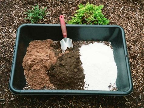 Homemade Potting Soil for Succulent Plants | World of Succulents