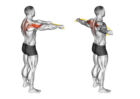 5 Band Pull Apart Alternatives to Target the Delts - Inspire US