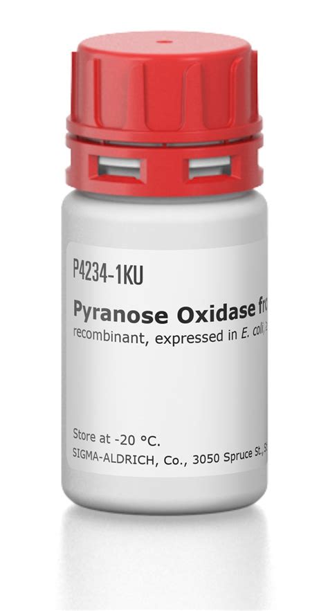 Oxidase Reagent 100ml - Ideal Medical Solutions Africa