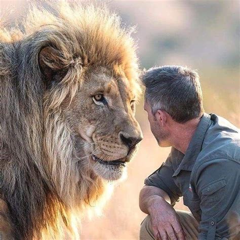 #lion vs Man | Animals, Animal planet, Lion