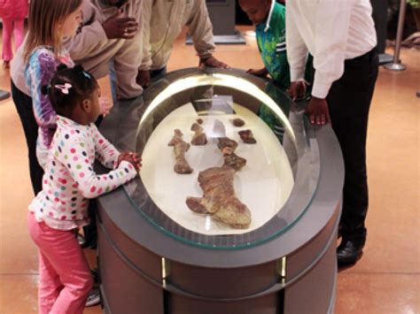 South Africa: A land rich in fossils – Maropeng and Sterkfontein Caves