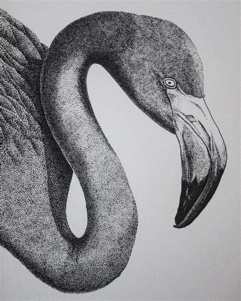 Animal Stippling and Cross Hatching B&W Drawings | Stippling art, Pen ...