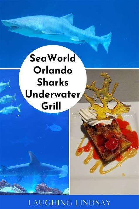 Sharks Underwater Grill at SeaWorld Orlando Review