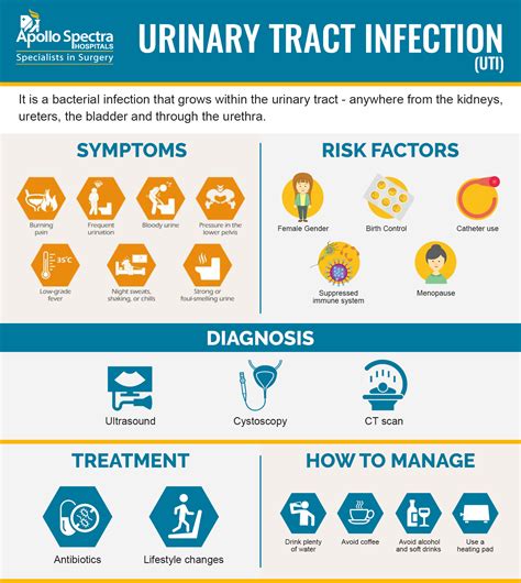 Understanding Urinary Tract Infections (UTI): Symptoms, & Prevention