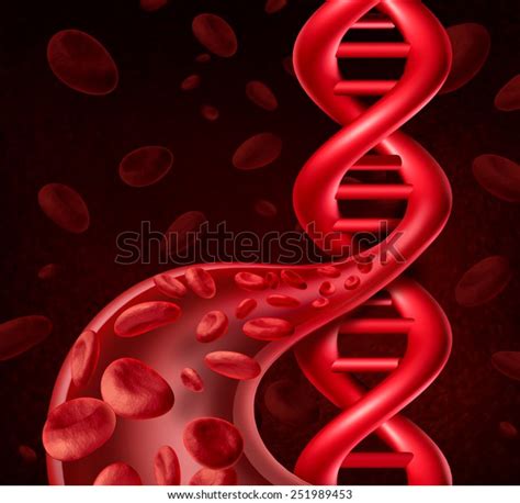 Dna Blood Cell Concept Human Veins Stock Illustration 251989453 | Shutterstock