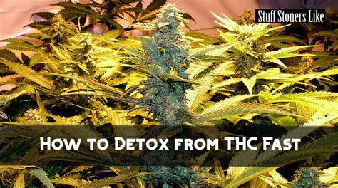 How to Detox from THC Fast