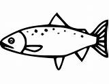 Chinook Salmon 1 sketch template