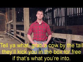 Letterkenny Wayne Quotes - ShortQuotes.cc