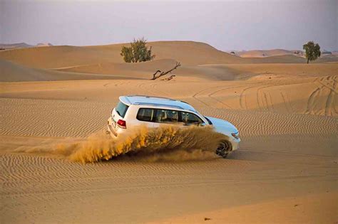 Desert Safari in Abu Dhabi - Information on Desert Trip